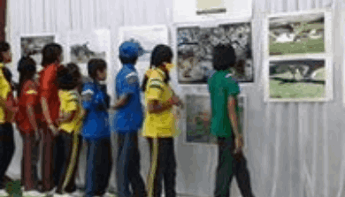 Wildlife photography exhibition - Ryan International School, Gondia Wildlife photography exhibition - Ryan International School, Gondia